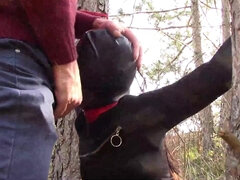 Tied To A Tree On A Sensual Outfit, Masked And Outdoor Deepthroating With No Mercy - Oral Sex