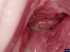 Brunette, Creampie, Cumshot, Hardcore, Pov, Teen