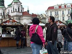 Gesztenyebarna, Cseh, Nagyi, Kőkemény, Filigrán alkatú, Valóság, Lovaglás, Rövid haj