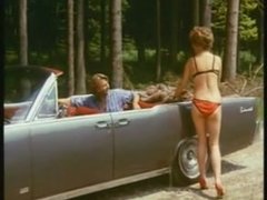 Blasen, Braunhaarige, Deutsch, Gruppe, Behaart, Orgie, Pornostars, Vintage