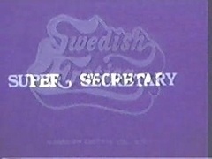 Swedish Erotica - Super Secretary